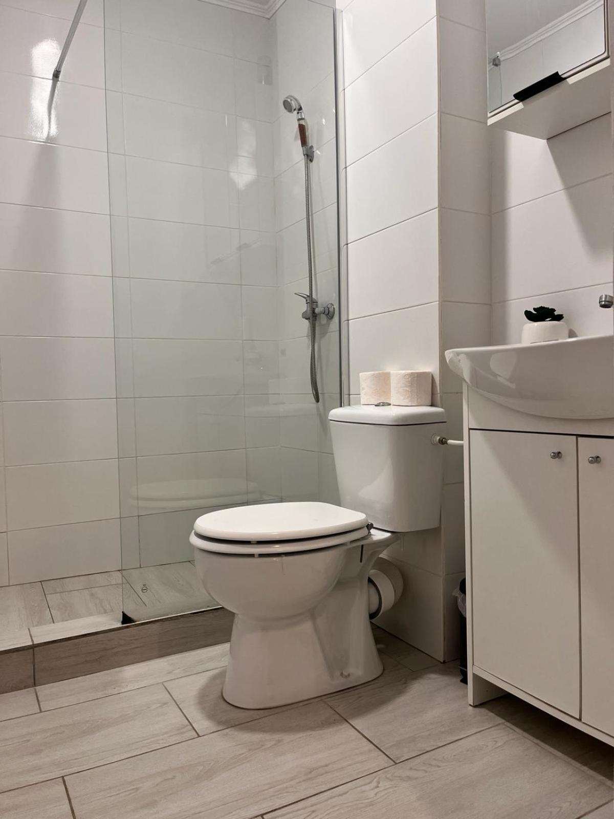 White & Silver Luxury Apartament Craiova Bagian luar foto