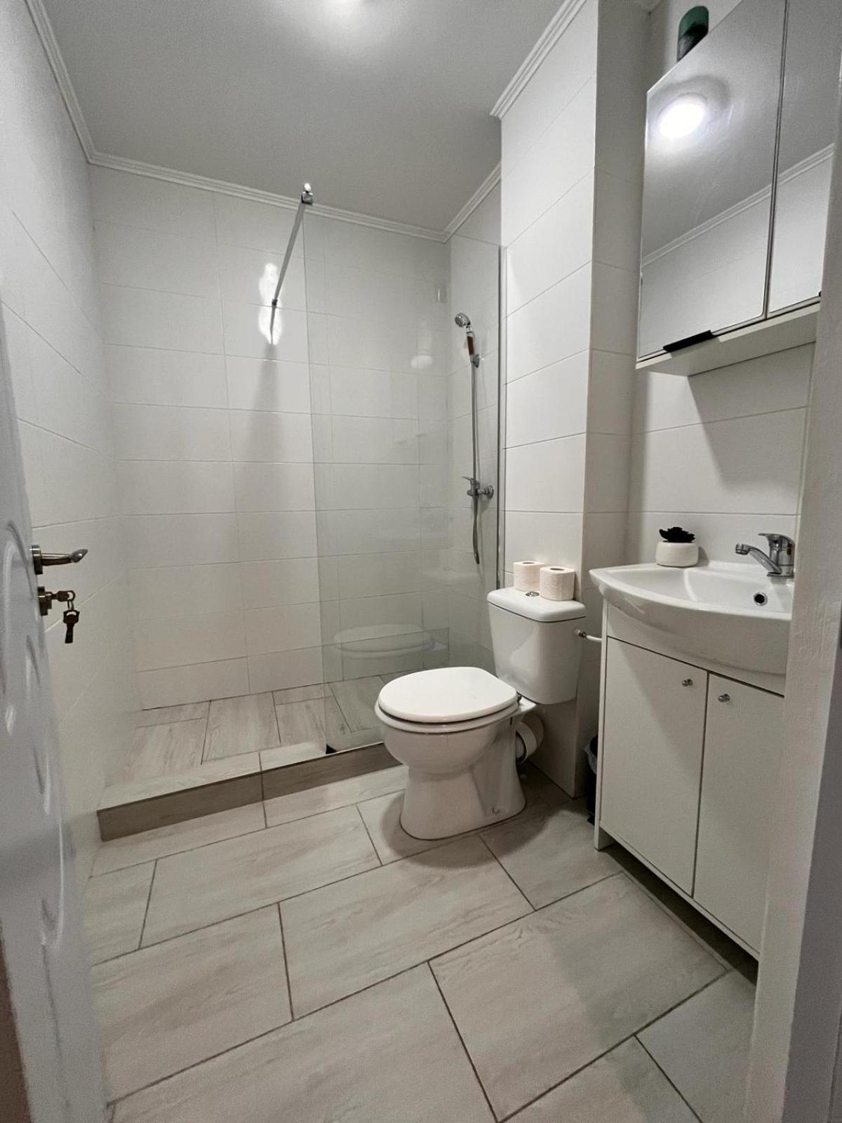 White & Silver Luxury Apartament Craiova Bagian luar foto